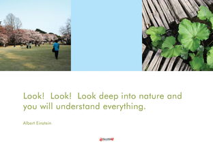 SketchUp在旅游度假項(xiàng)目建筑設(shè)計(jì)中的核心價(jià)值與應(yīng)用實(shí)踐